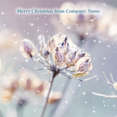 Winter Nature - Front Personalised Christmas Card