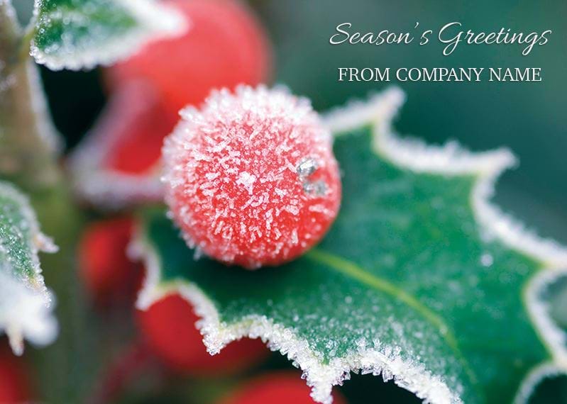 Frosted Holly - Front Personalised Christmas Card