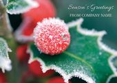 Frosted Holly - Front Personalised Christmas Card