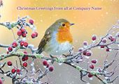 Little Robin Redbreast - Front Personalised Christmas Card