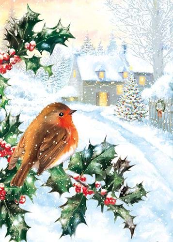 Robin and Holly - Personalised Christmas Card