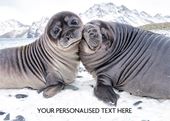Seal-tide Wishes - Front Personalised Christmas Card