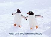 Winter Friends - Front Personalised Christmas Card