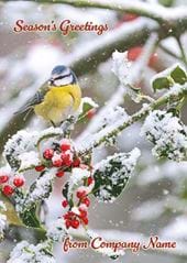 Blue Tit and Frosted Berries - Front Personalised Christmas Card