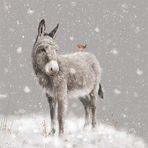 Donkey's First Snow - Personalised Christmas Card