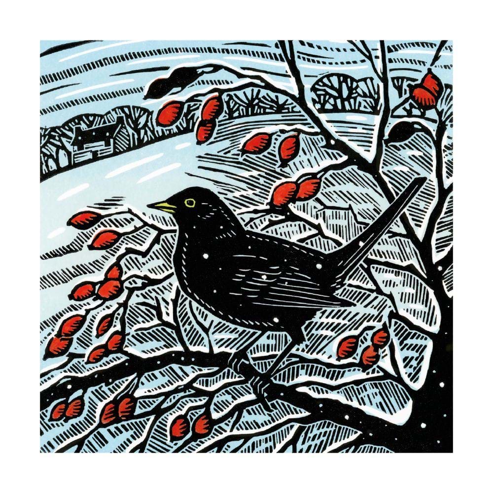 Blackbird and Berries Christmas Cards - Pack of 8