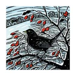 Blackbird and Berries Christmas Cards - Pack of 8