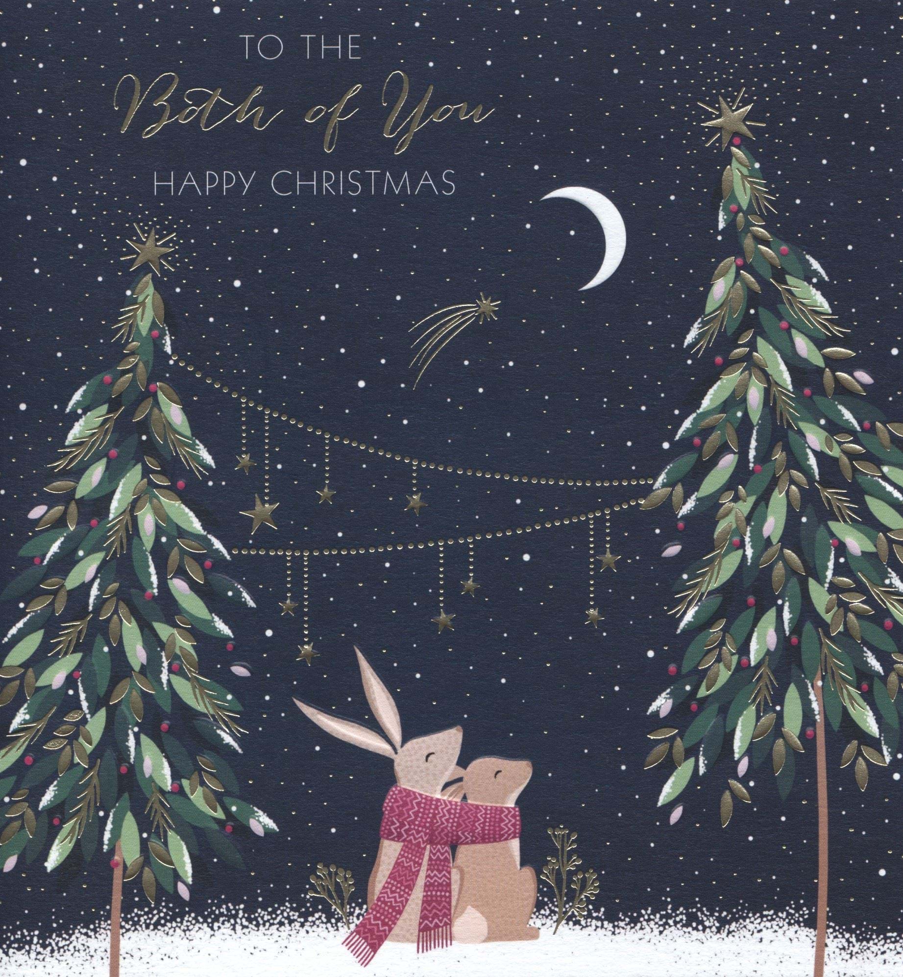 Night Sky Both of You Christmas Card