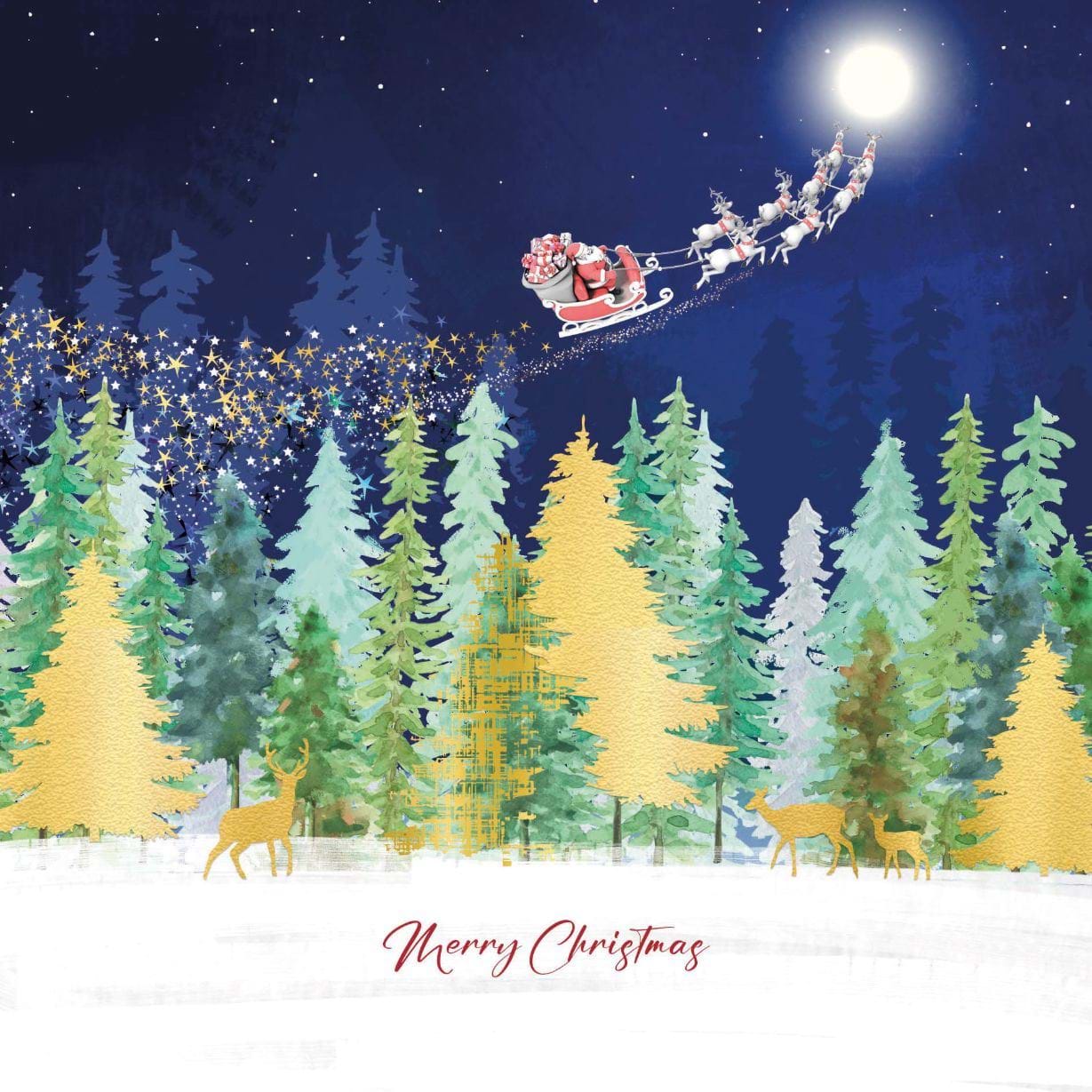 Santa Flying Christmas Card