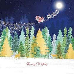 Santa Flying, Trussell Christmas Cards - Pack of 10