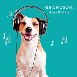 Music Dog Grandson Birthday Card