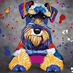 Schnauzer Greeting Card
