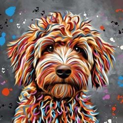 Cockapoo Greeting Card
