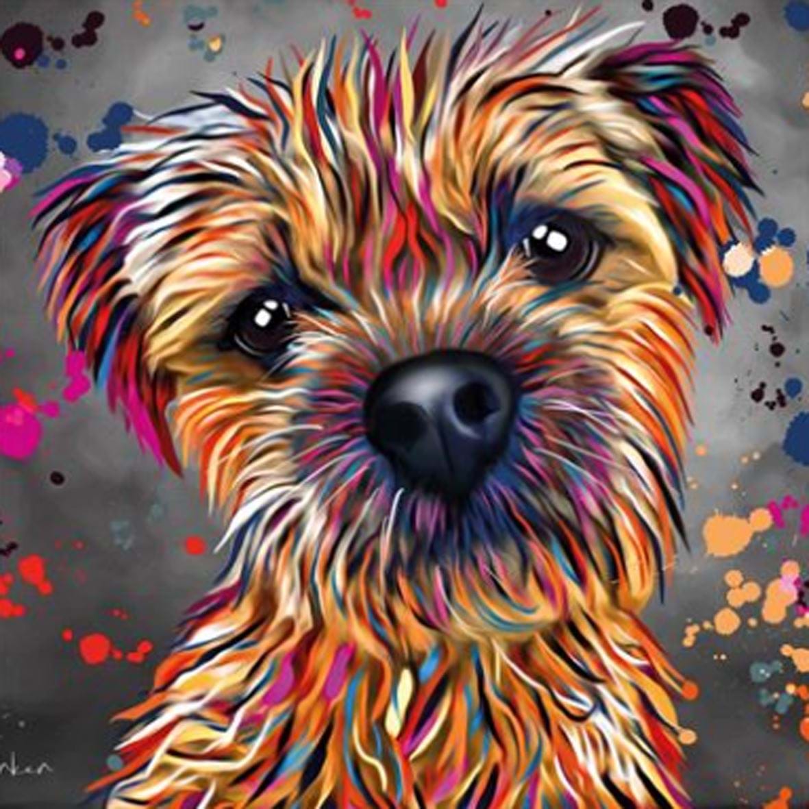 Border Terrier Greeting Card