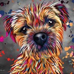 Border Terrier Greeting Card