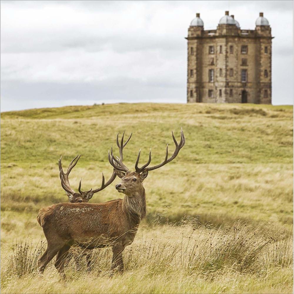 Lyme, Cheshire Greeting Card