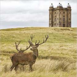 Lyme, Cheshire Greeting Card