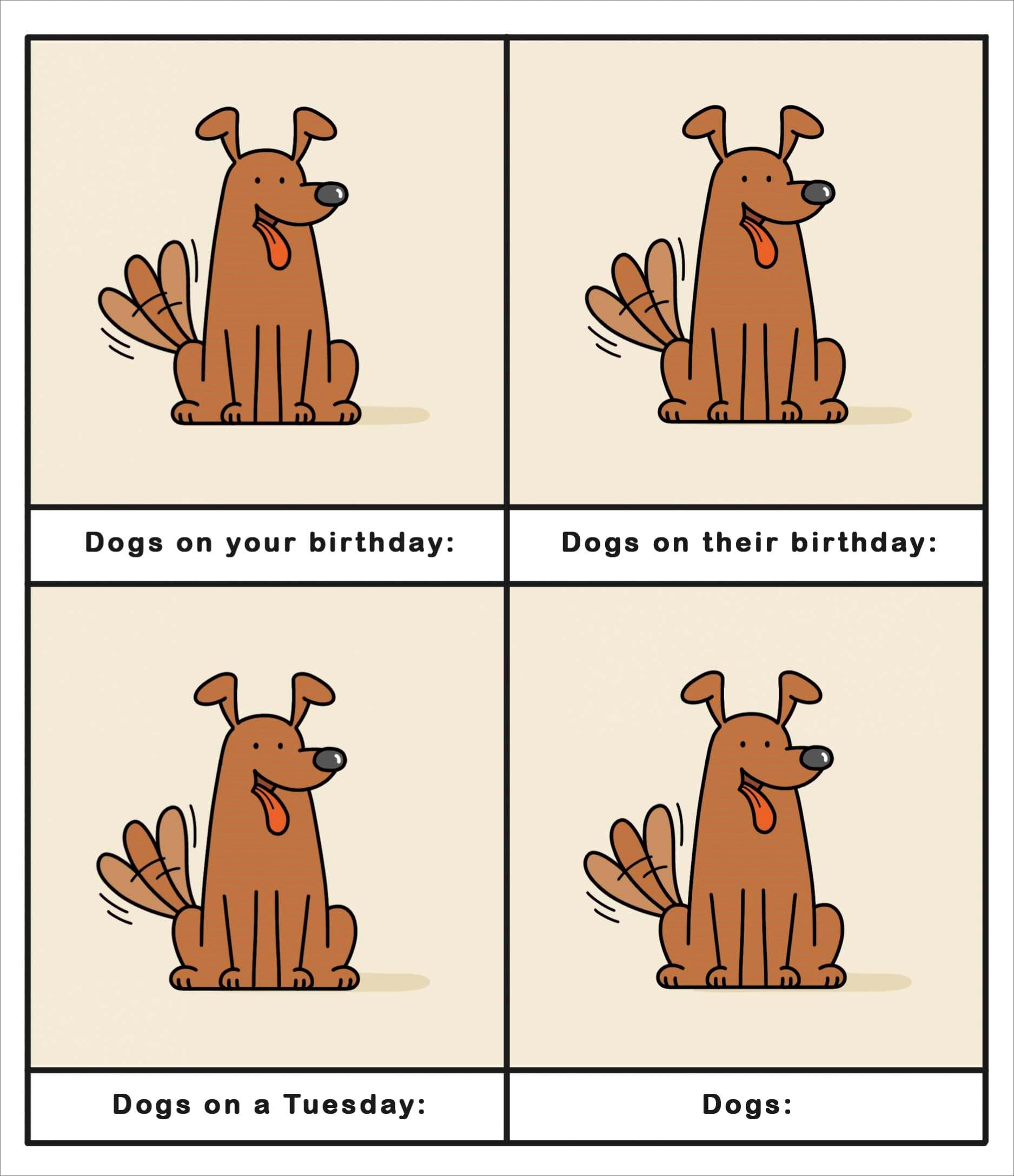 Dogs Birthday Card