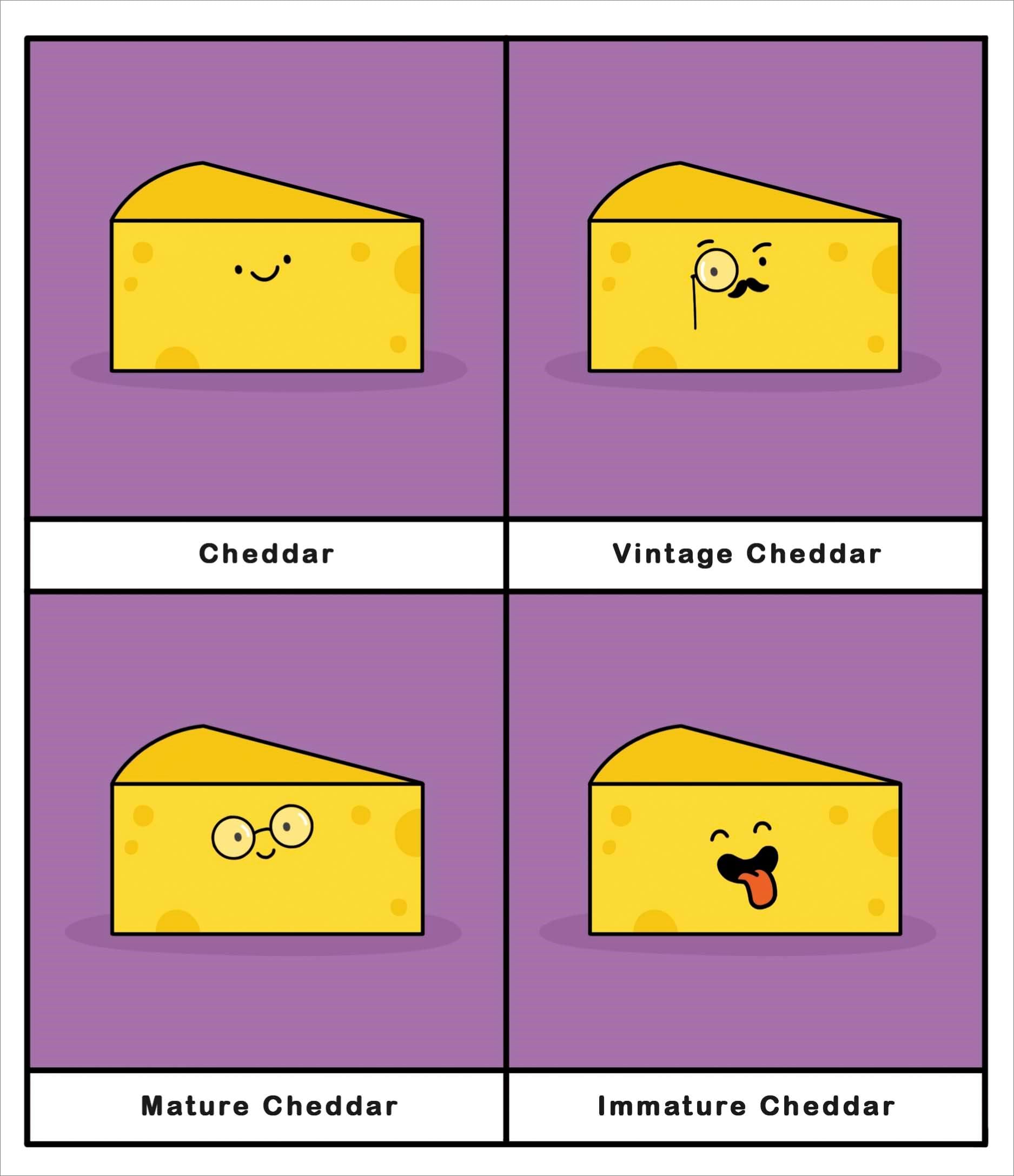 Types of Cheese Birthday Card
