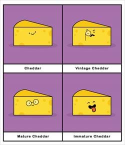 Types of Cheese Birthday Card
