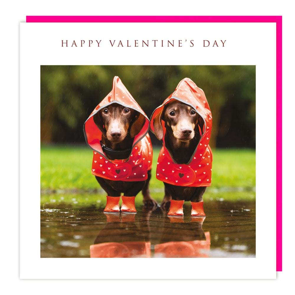 Dachshund Valentine's Day Card