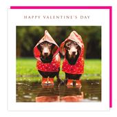 Dachshund Valentine's Day Card