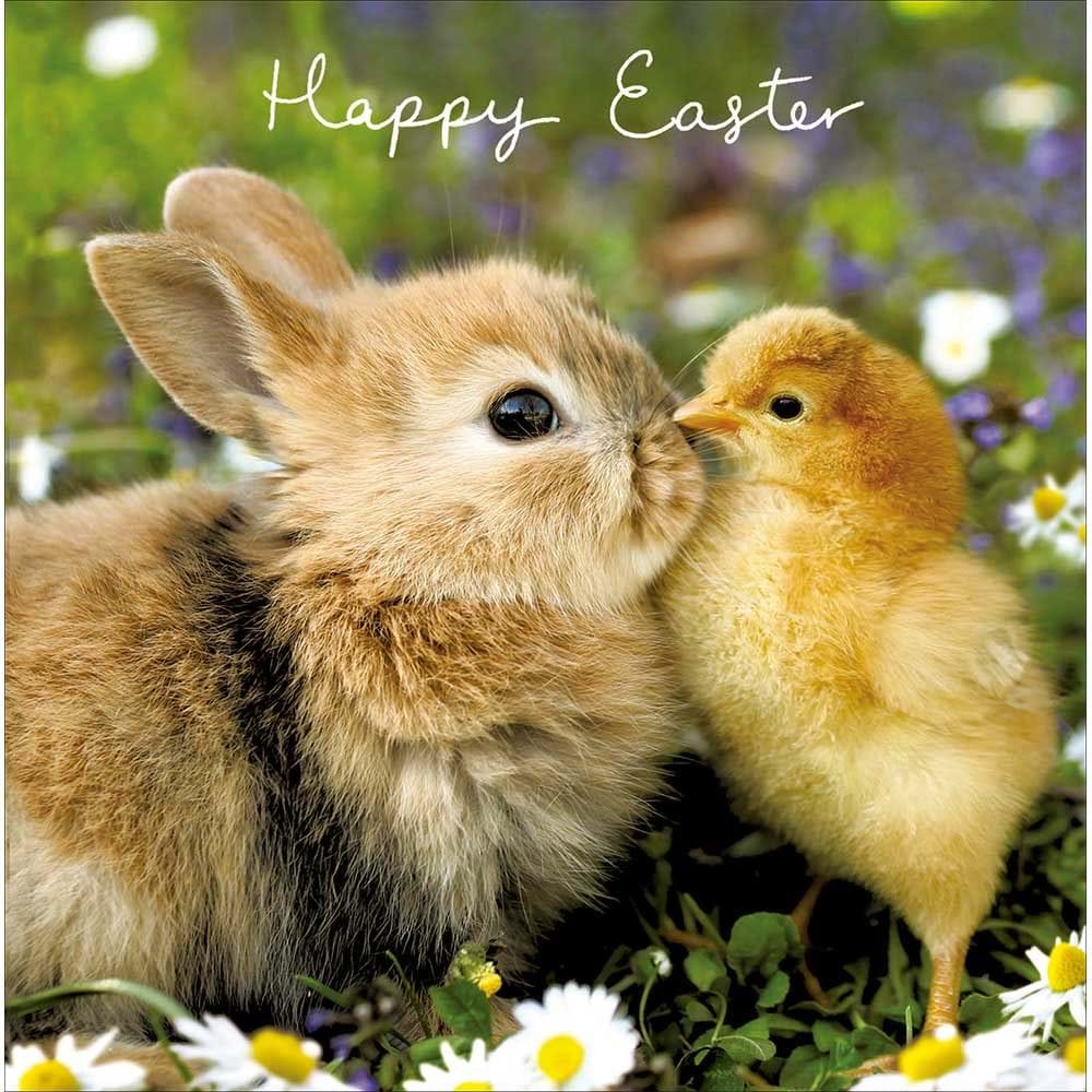 Bunny and Chick Easter Card