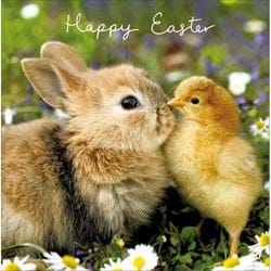 Bunny and Chick Easter Card
