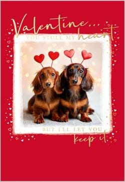 Stole My Heart Valentine's Day
