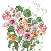 Nasturtiums Birthday Card