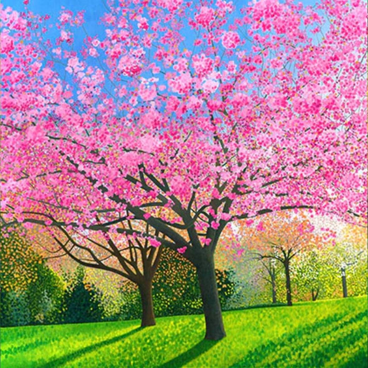 Blossom in the Arboretum Greeting Card