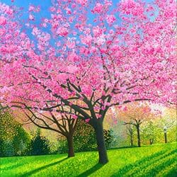 Blossom in the Arboretum Greeting Card