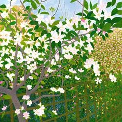 Apple Blossom Greeting Card