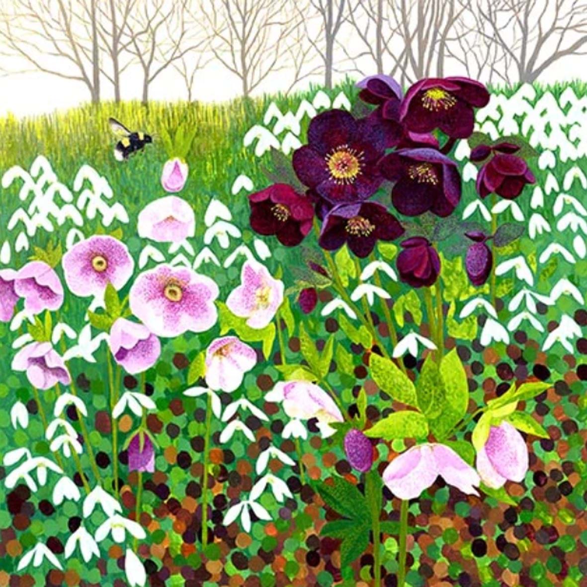 Hellebores Greeting Card