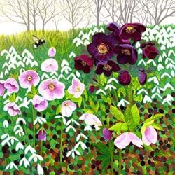Hellebores Greeting Card