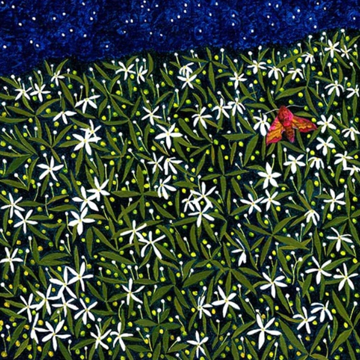 Starlight Jasmine Greeting Card