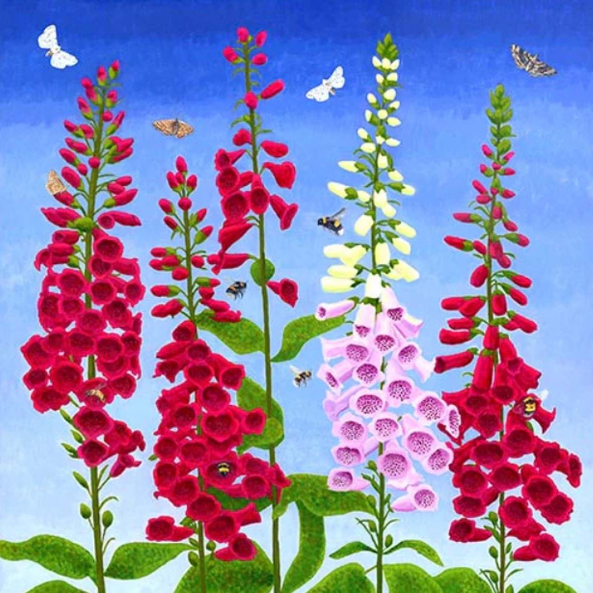 Foxgloves and Pollinators Greeting Card