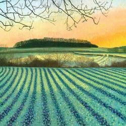 Winter Sunrise Greeting Card
