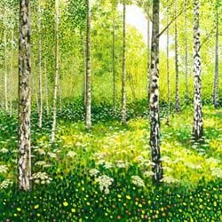 Silver Birch Copse Greeting Card