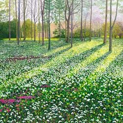 Snowdrops and Cyclamen Greeting Card