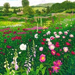 Foxgloves and Peonies Greeting Card