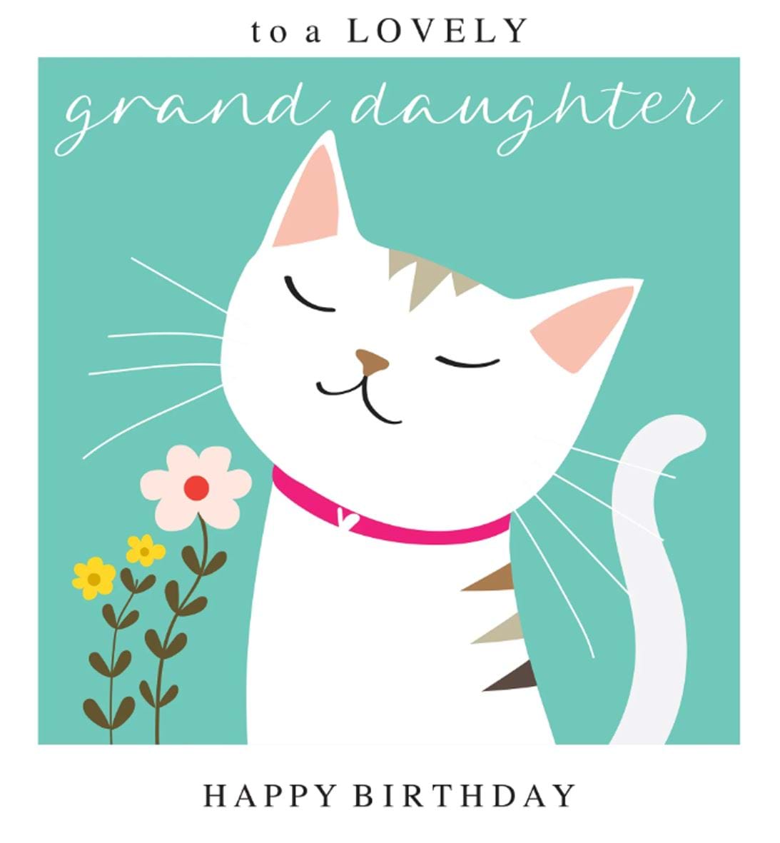Cat Granddaughter Birthday Card