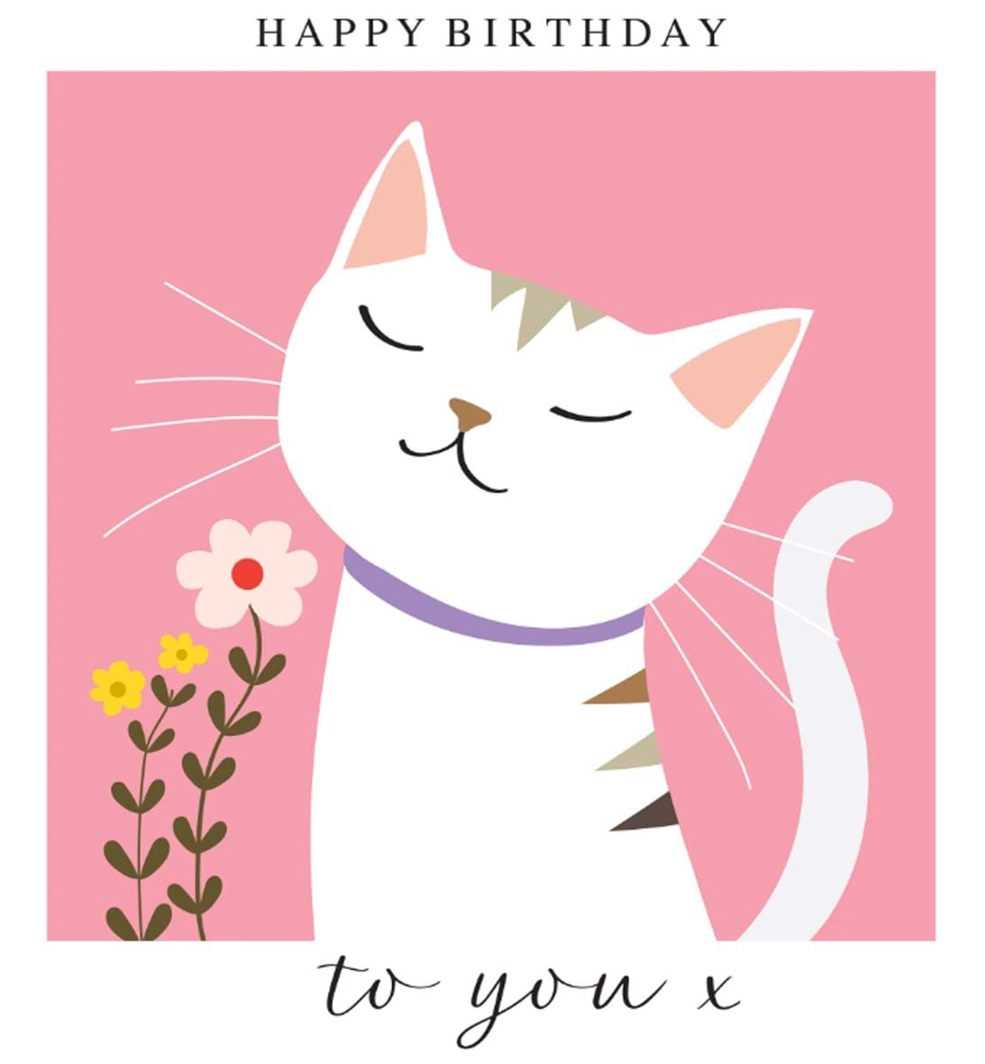 Cat Birthday Card