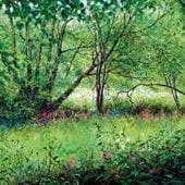 Rhapsody in Green Greeting Card