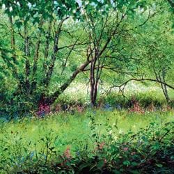 Rhapsody in Green Greeting Card