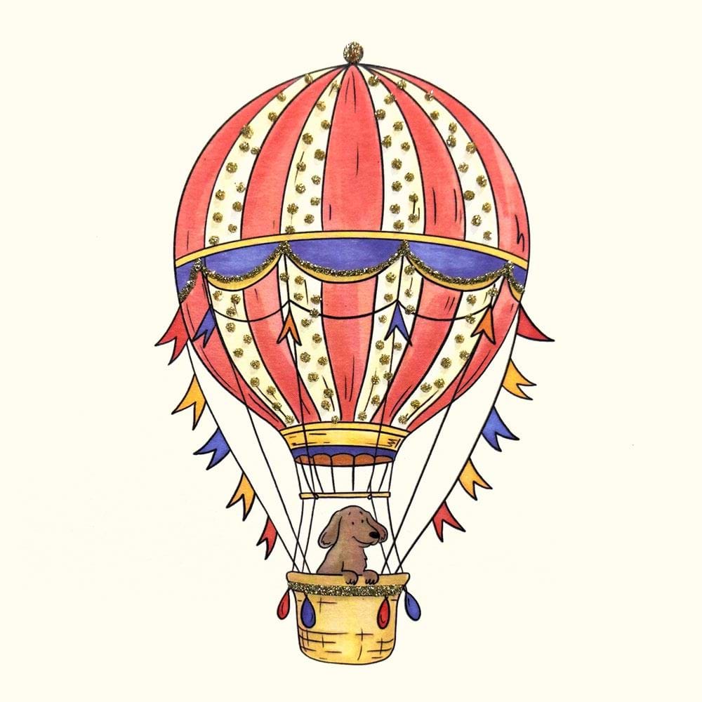 Hot Ait Balloon Greeting Card