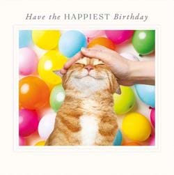 Happy Cat Birthday Card