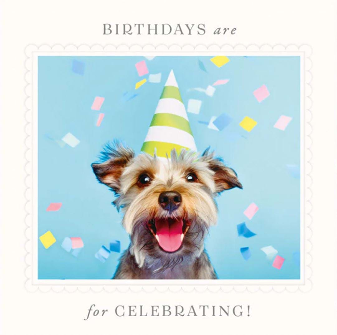 Happy Dog Birthday Card