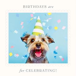 Happy Dog Birthday Card