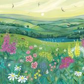 Morning Light Greeting Card